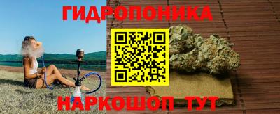 apvp Гусев