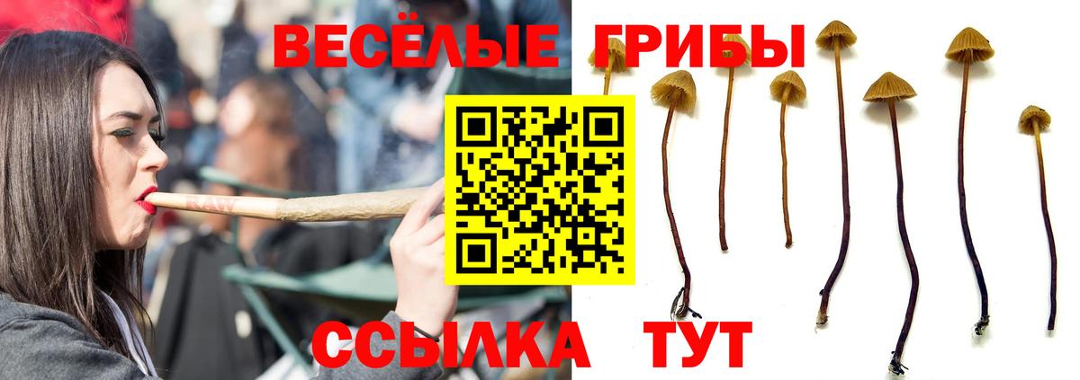 Галлюциногенные грибы Magic Shrooms Минеральные Воды